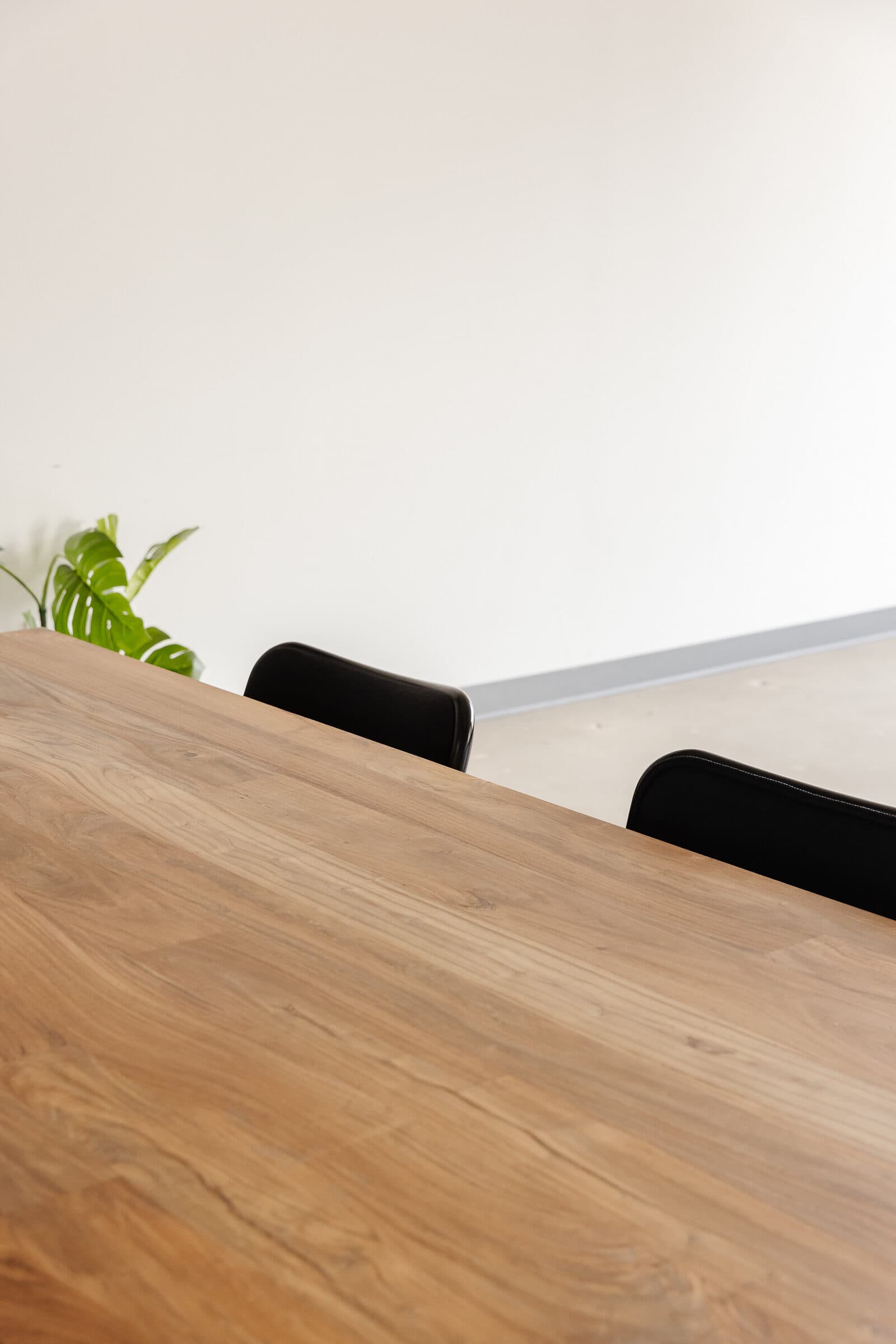 A wooden table and black chairs beside a plant against a white wall in the studio